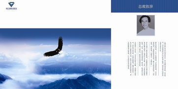 大陸橋文化傳媒 畫冊設(shè)計中的文化傳播新視野